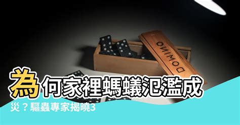 為何螞蟻那麼多